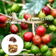 画像をギャラリービューアに読み込む, ドリップバッグ 12枚 | バランスのとれた味わい | ブラジル産ボンジャルディン農園 | 送料込・税込 | Amazon pay 可