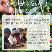 画像をギャラリービューアに読み込む, [単品] エチオピア産シダマ・へレフ  |バランスのとれた味わい フローラルのような香り | 独自焙煎 | 200g or 600g  | 豆or粉 選択可 | Amazon Pay可 |
